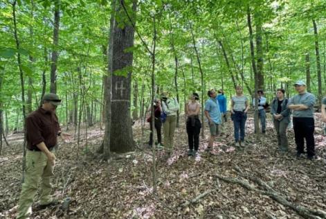 A group listens as a guide speaks near a marked tree in a dense green forest.