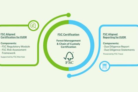 Infographic illustrating FSC certification alignment with EUDR, showing certification, management, and reporting components.