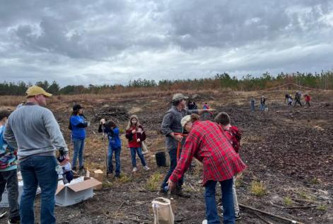 group of people gathered on forest land