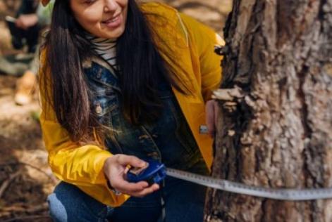 Person in a yellow jacket measures the circumference of a tree trunk in a forest.