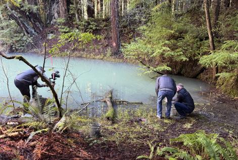 people kneeling in front of stream