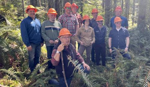 Ten people in orange hard hats pose together in a wooded area surrounded by ferns