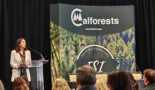 A presenter delivers remarks on sustainable forestry and forest policy at the Calforests conference, standing before a forest-themed Calforests banner.