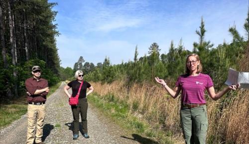 A presenter in a pink shirt speaks on a gravel road lined with young pine trees while others listen.