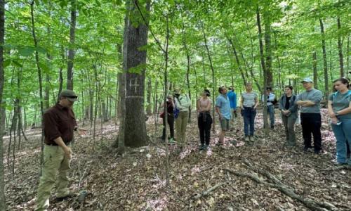 A group listens as a guide speaks near a marked tree in a dense green forest.