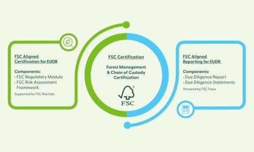 Infographic illustrating FSC certification alignment with EUDR, showing certification, management, and reporting components.