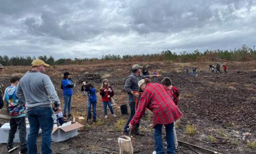 group of people gathered on forest land
