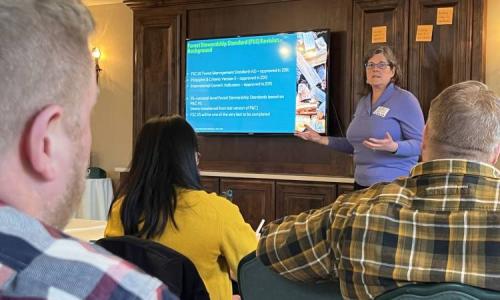 A speaker presents slides about the Forest Stewardship Standard to attendees seated in a meeting room.