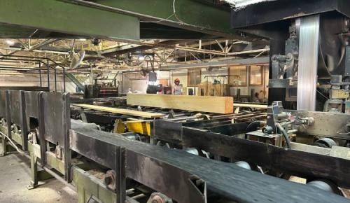 Workers operate large industrial equipment as lumber moves along rollers inside a sawmill.