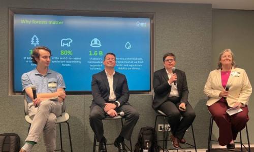Four speakers sit on stage during a panel on forest sustainability.