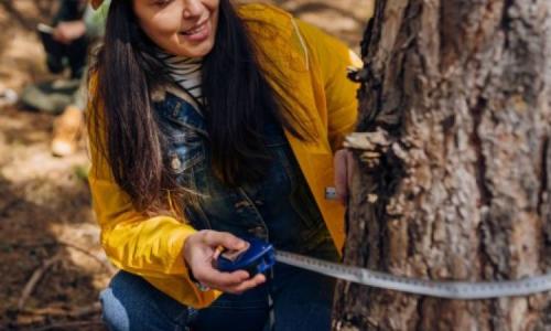 Person in a yellow jacket measures the circumference of a tree trunk in a forest.