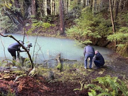 people kneeling in front of stream